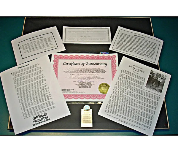 Babe Ruth Final Career Game, 1935 - Framed
