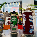 Philly Beercan Spider Plants