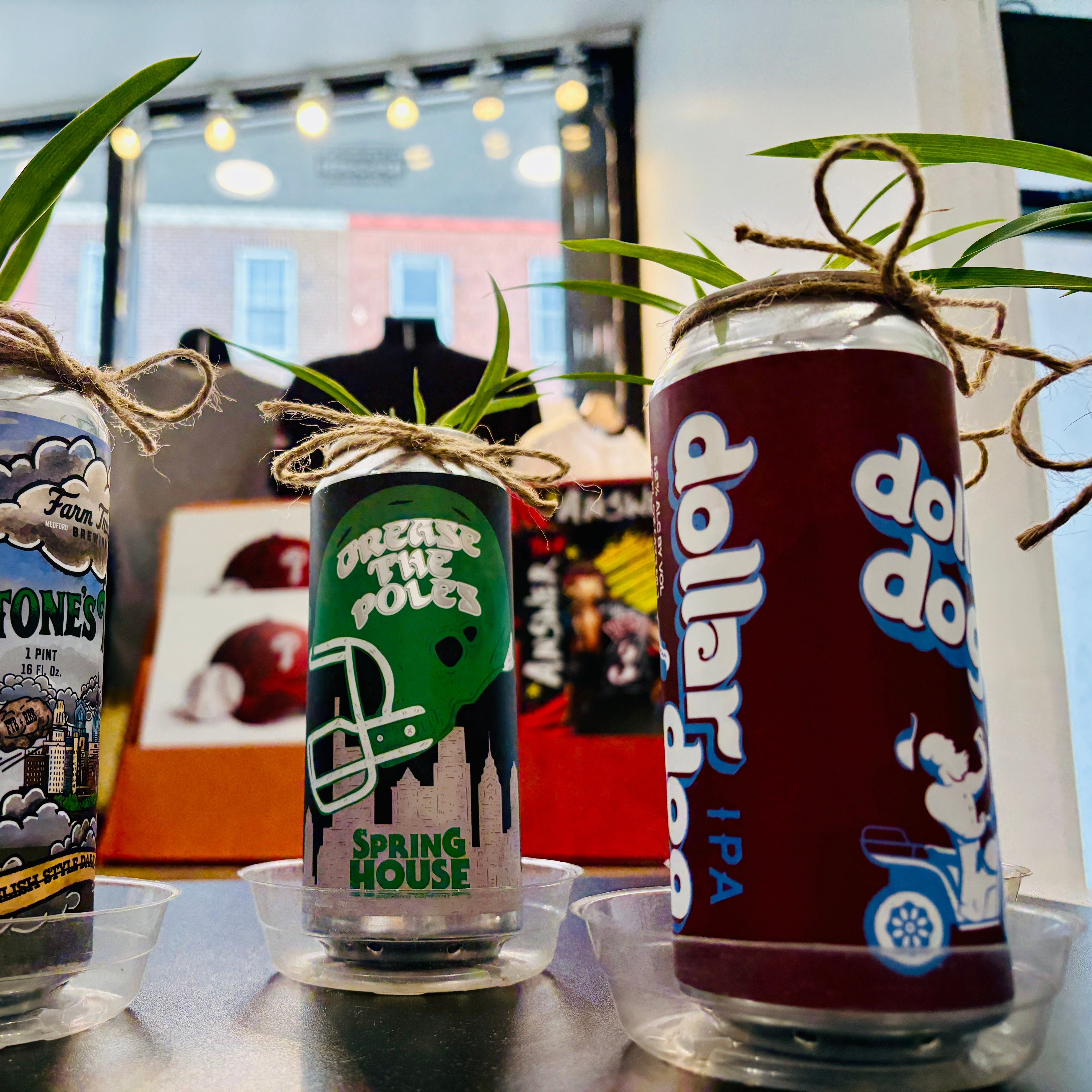 Philly Beercan Spider Plants
