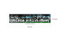 Eagles Legacy "On The Road To Victory"