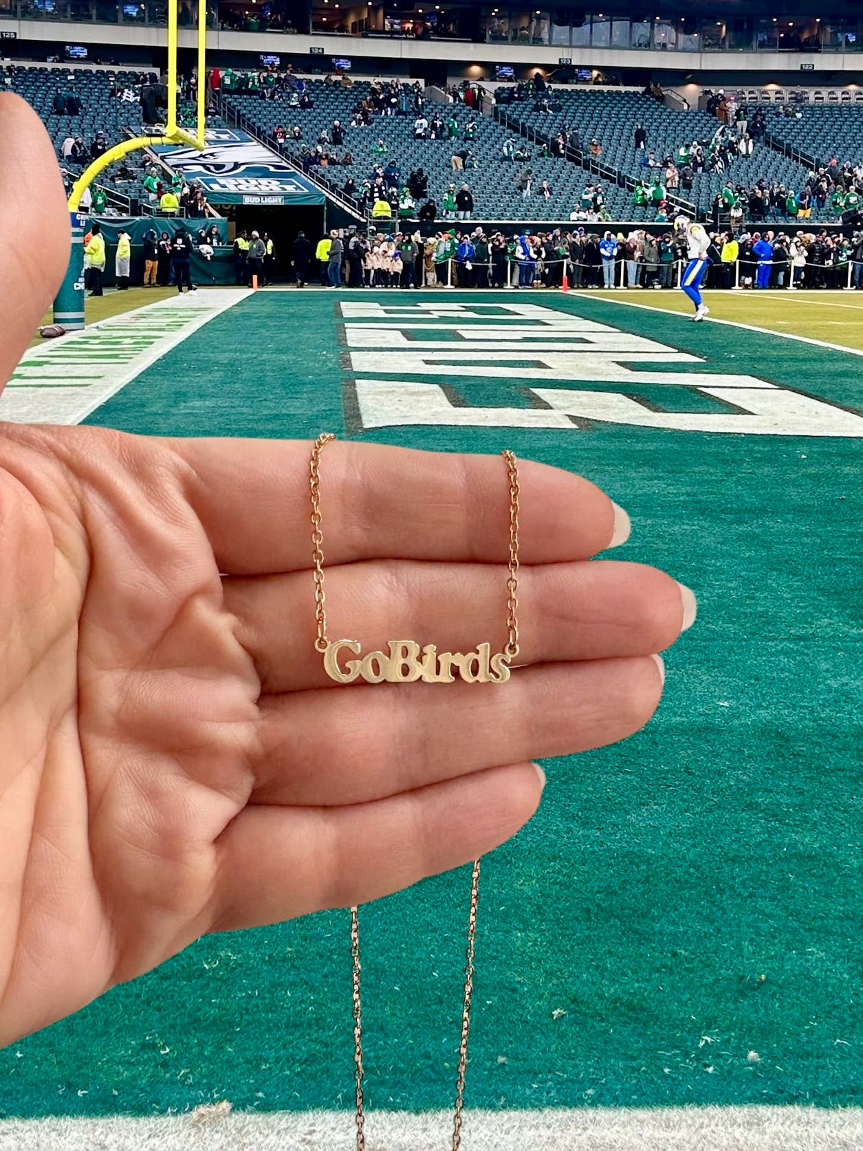Go Birds Charm Necklace ~ Gold or Silver